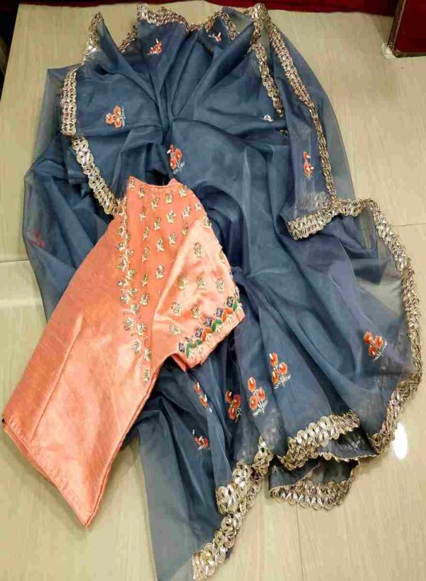 Silky Organza Saree & Silk Hand Work Blouse