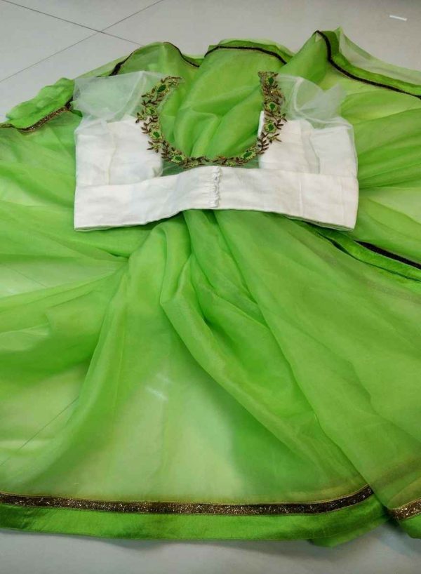 Pista Green Organza Saree & White Net Handwork Blouse