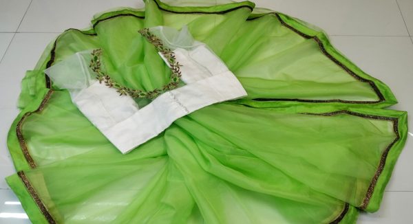 Pista Green Organza Saree & White Net Handwork Blouse - Image 2